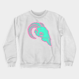 Skull Embroidery Effect Crewneck Sweatshirt